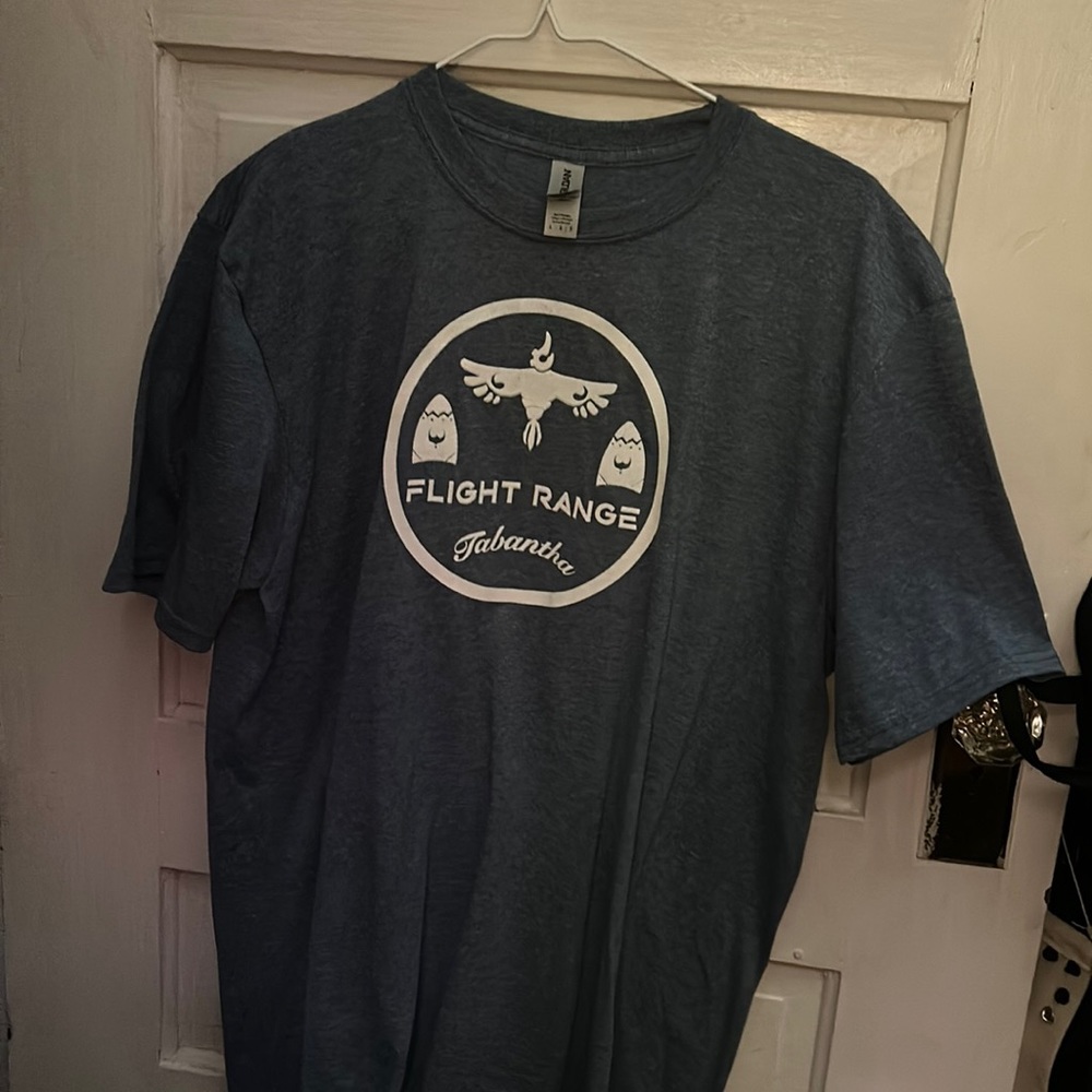 Zelda BOTW graphic tee